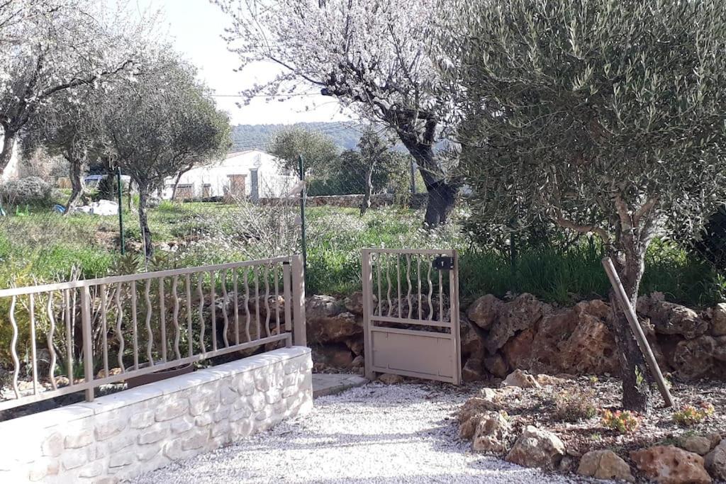 Maison 2/4pers : jardin piscine. LES AMANDIERS Lorgues Extérieur photo